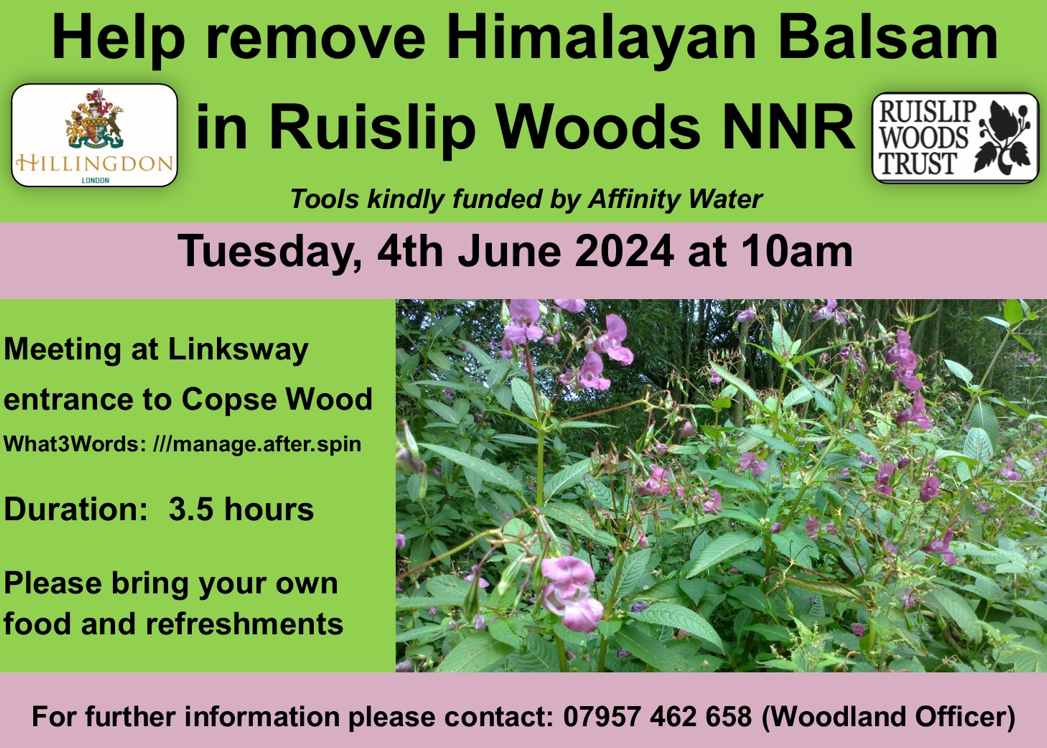 Himalayan Balsam Bashing in Ruislip Woods