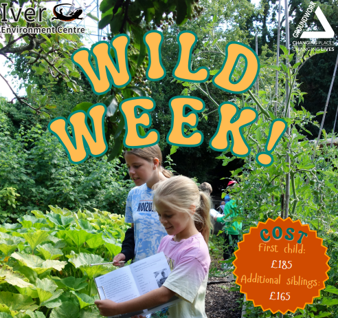 Wild Week at Iver Environment Centre