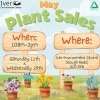 Plant Sale at Iver Environment Centre