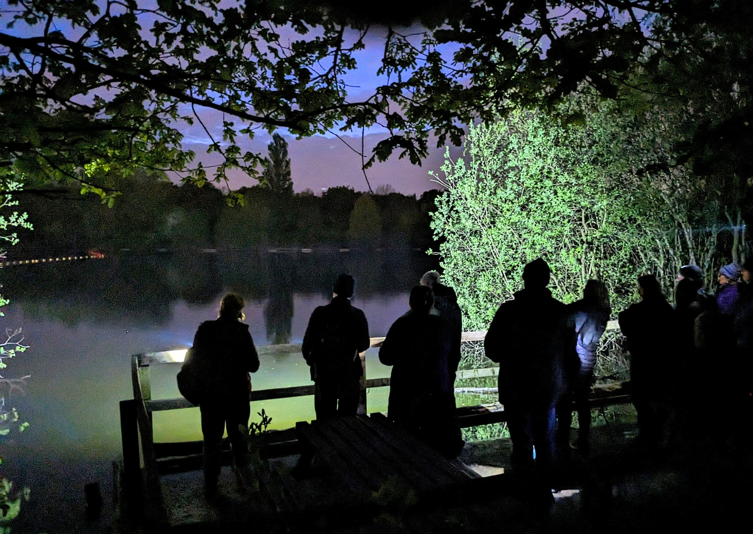 Guided Bat Walk in Ruislip Woods