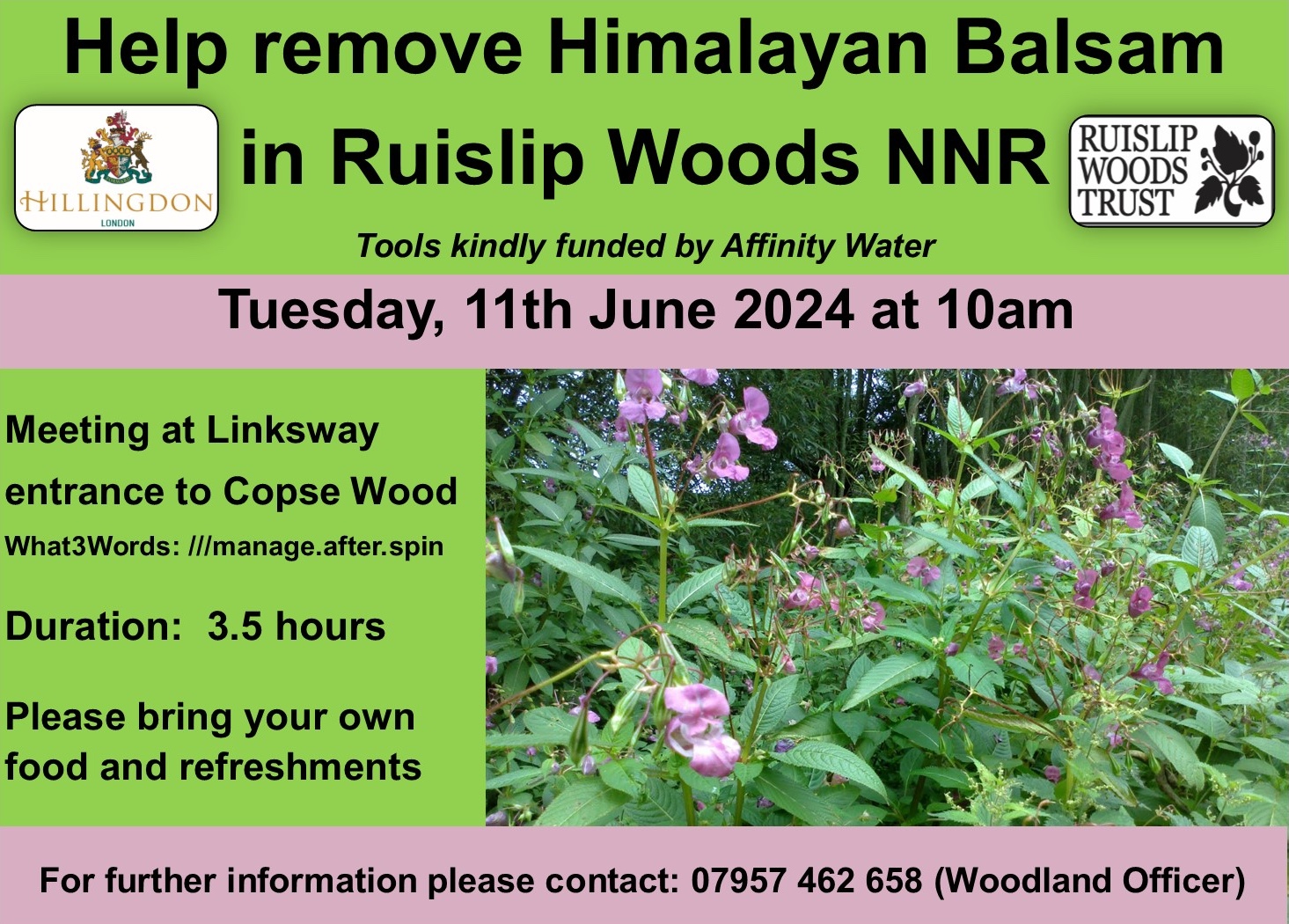 Himalayan Balsam Bashing in Ruislip Woods