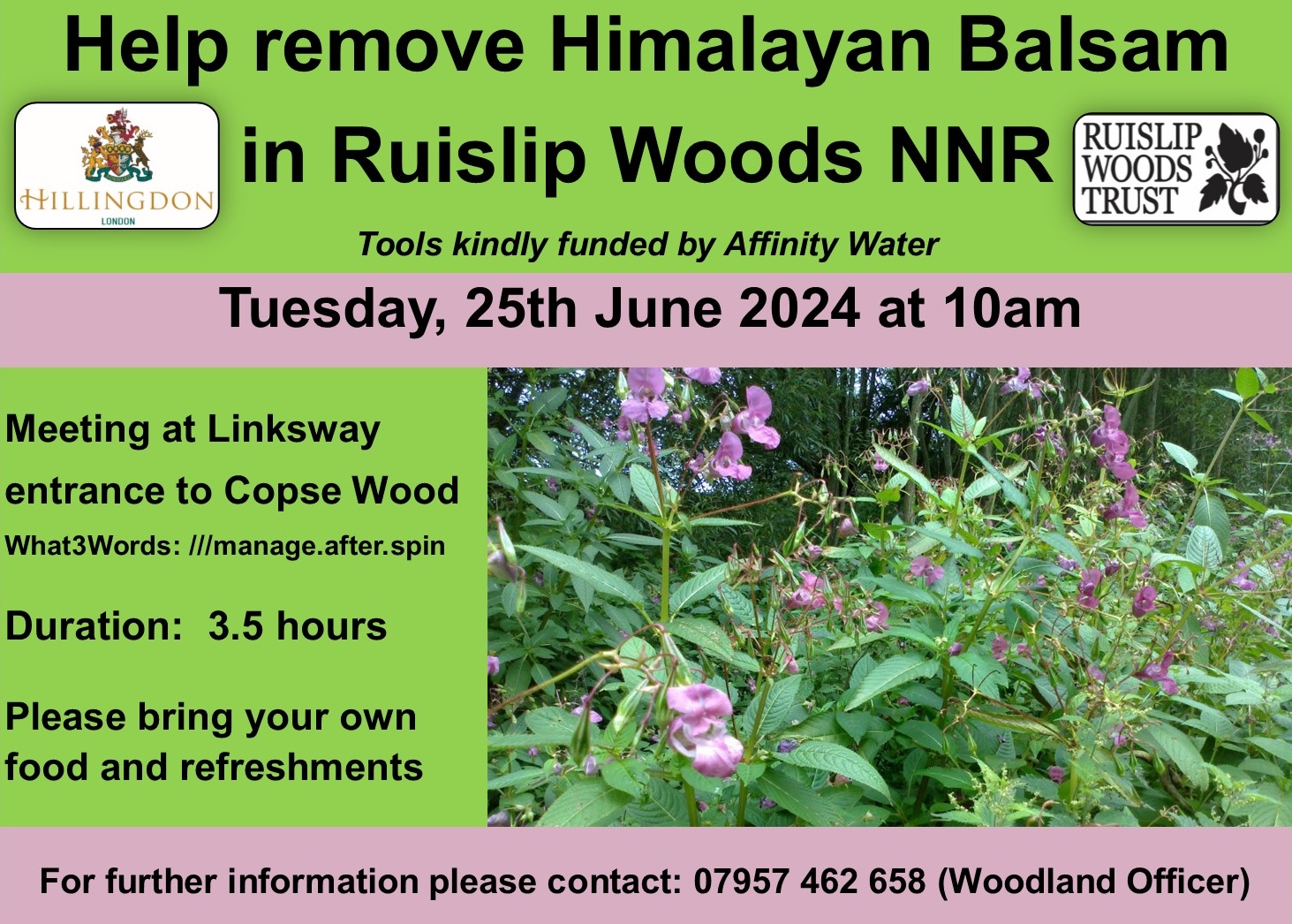 Himalayan Balsam Bashing in Ruislip Woods