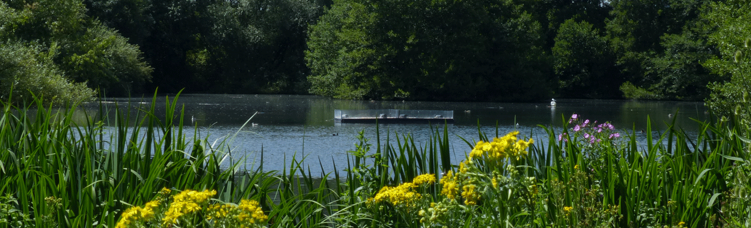 Maple Lodge Nature Reserve Open Day