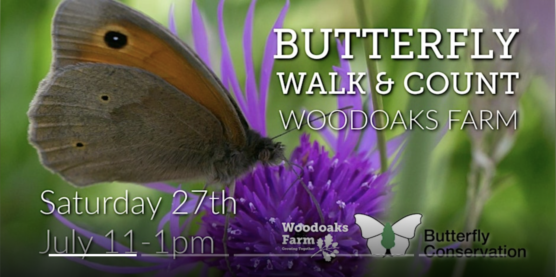 Butterfly Walk & Count at Woodoaks Farm