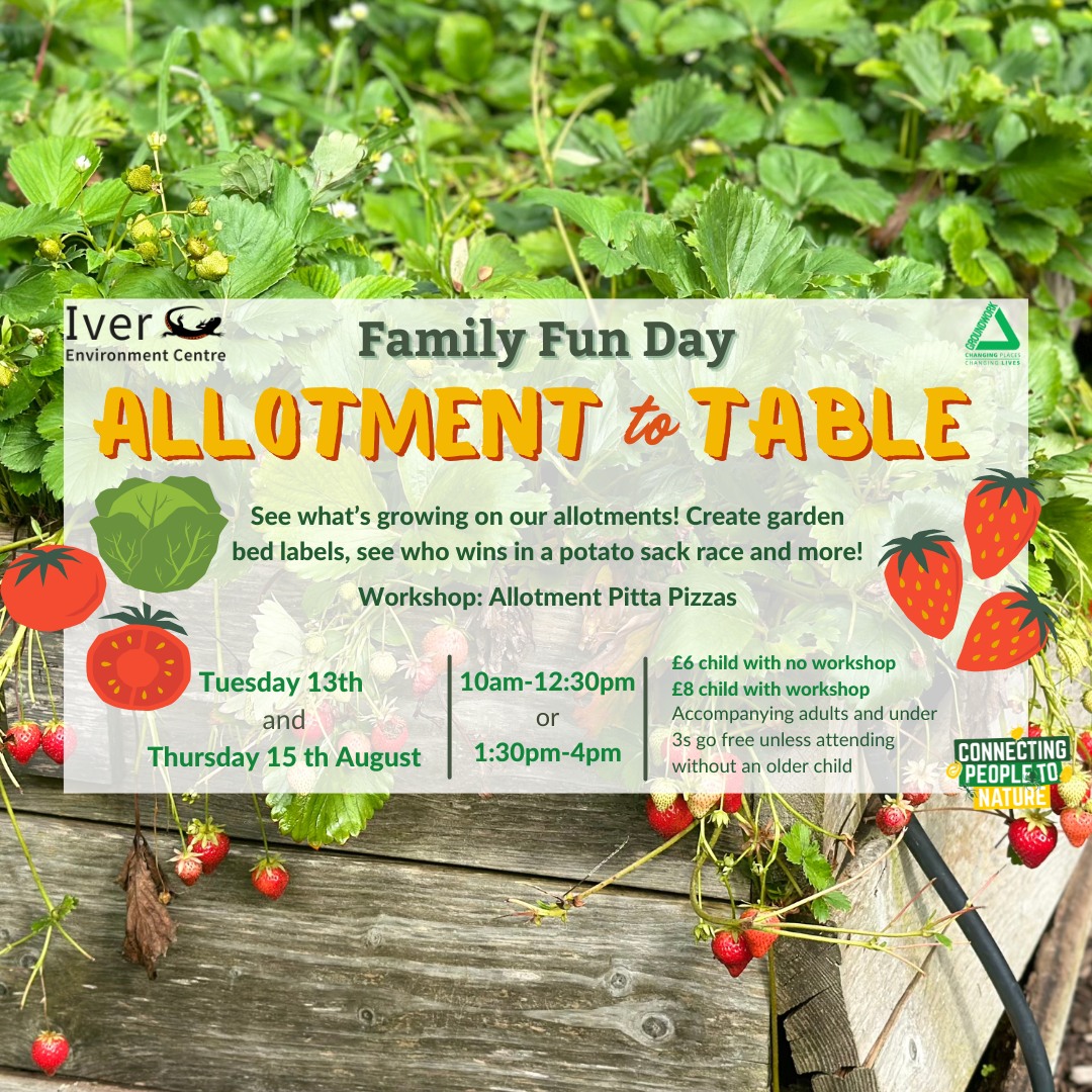 Summer Family Fun Day - Iver Environment Centre