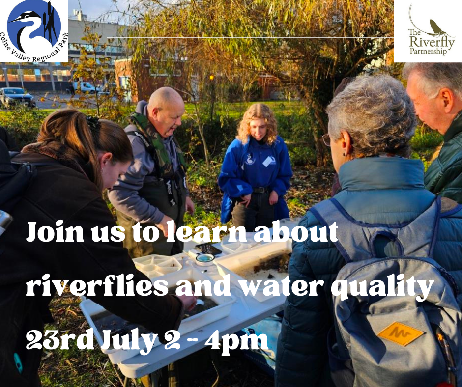 Riverfly Survey Taster Event in Denham