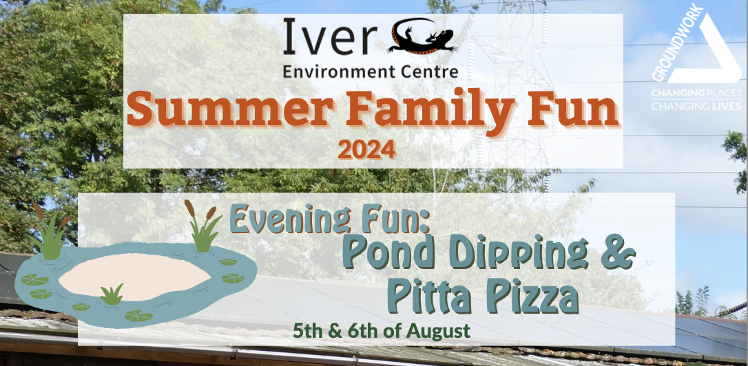 Family Fun Evening - Pond Dipping & Pitta Pizzas at Iver Environment Centre