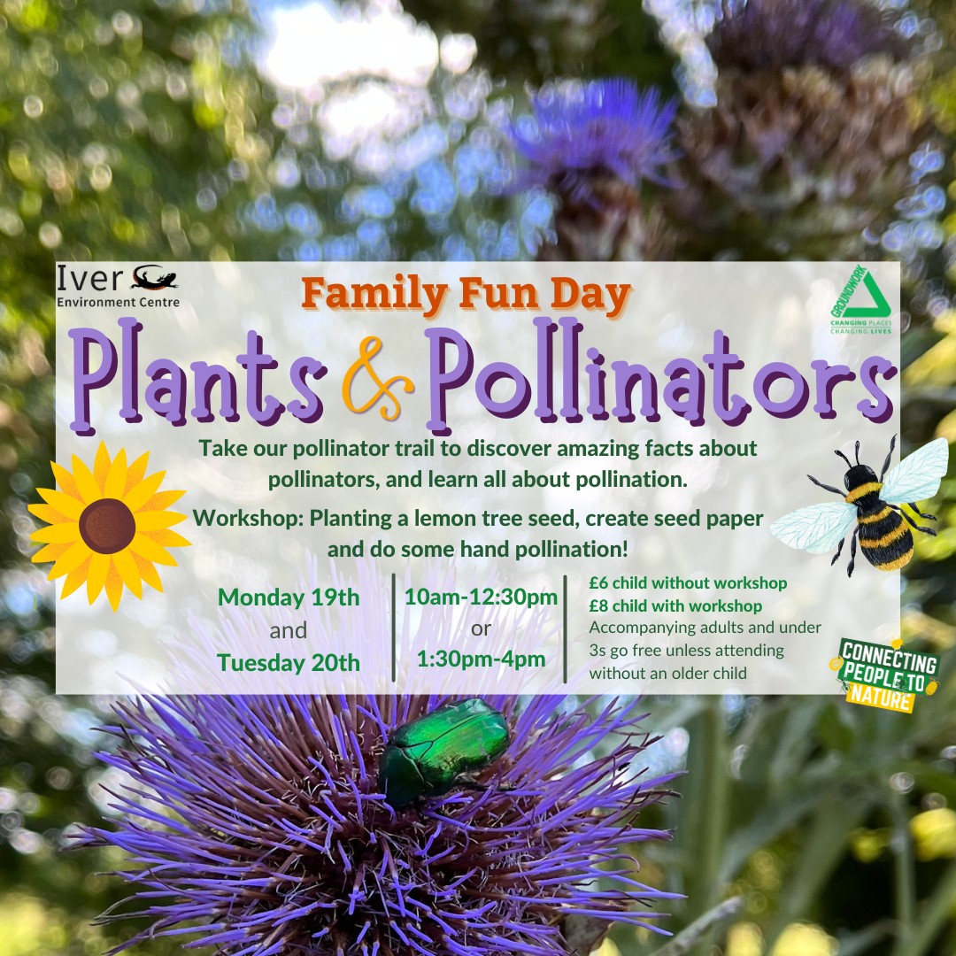 Summer Family Fun Day - Iver Environment Centre