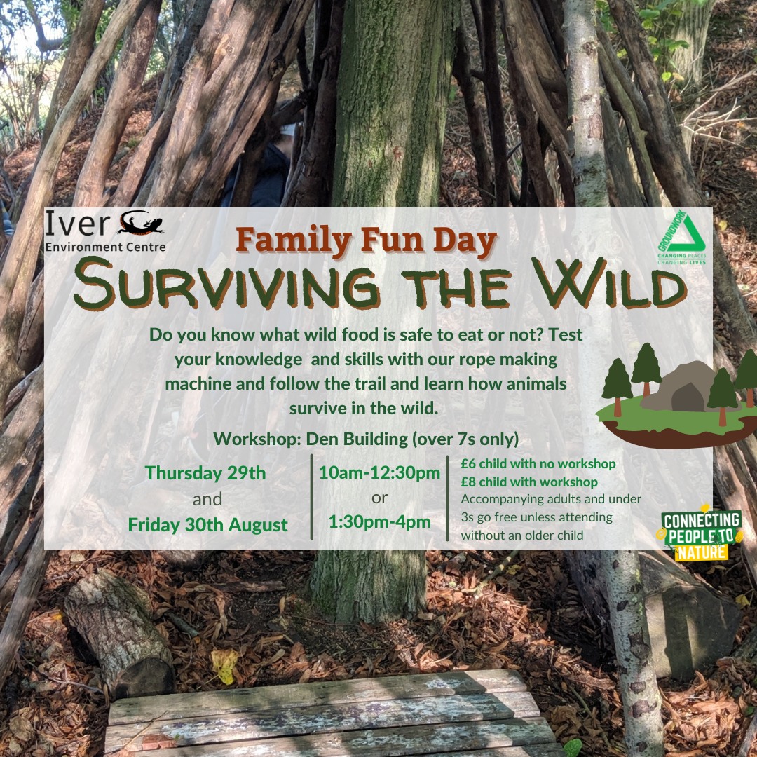 Summer Family Fun Day - Iver Environment Centre