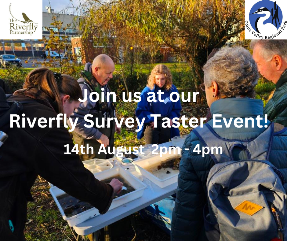 Riverfly Survey Taster Event in Denham