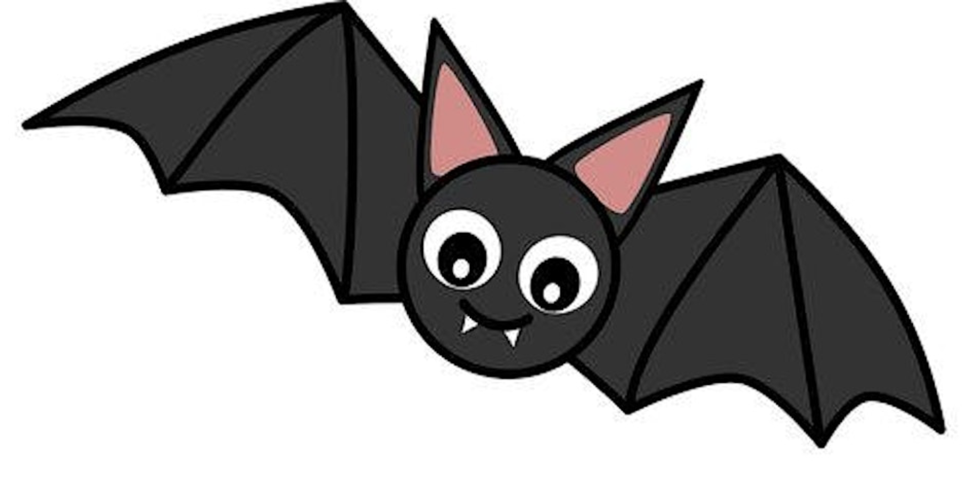 Creepy Critters at the Visitor Centre in Denham