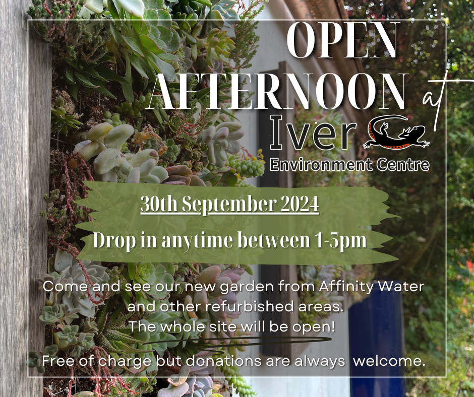 Open Afternoon at Iver Environment Centre to see their new garden