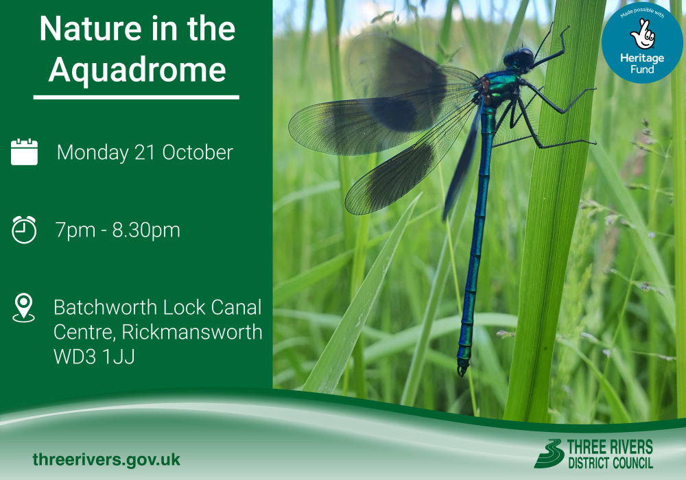 'Nature in the Aquadrome' Ecology Event at Batchworth Lock
