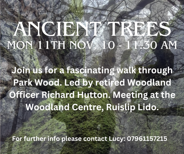 Ancient Trees Walk in Ruislip Woods