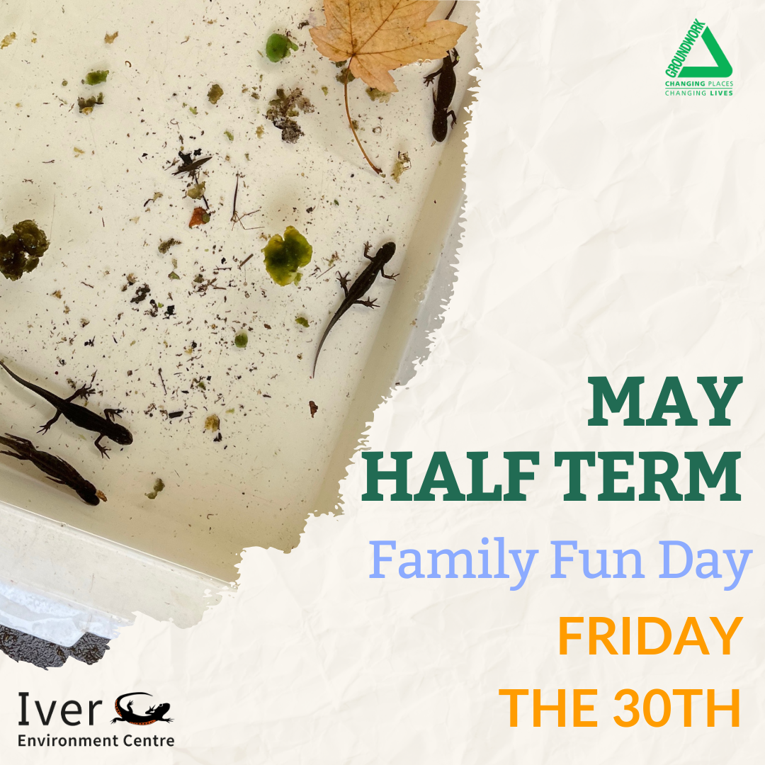 May Half Term Family Fun Day Iver Environment Centre
