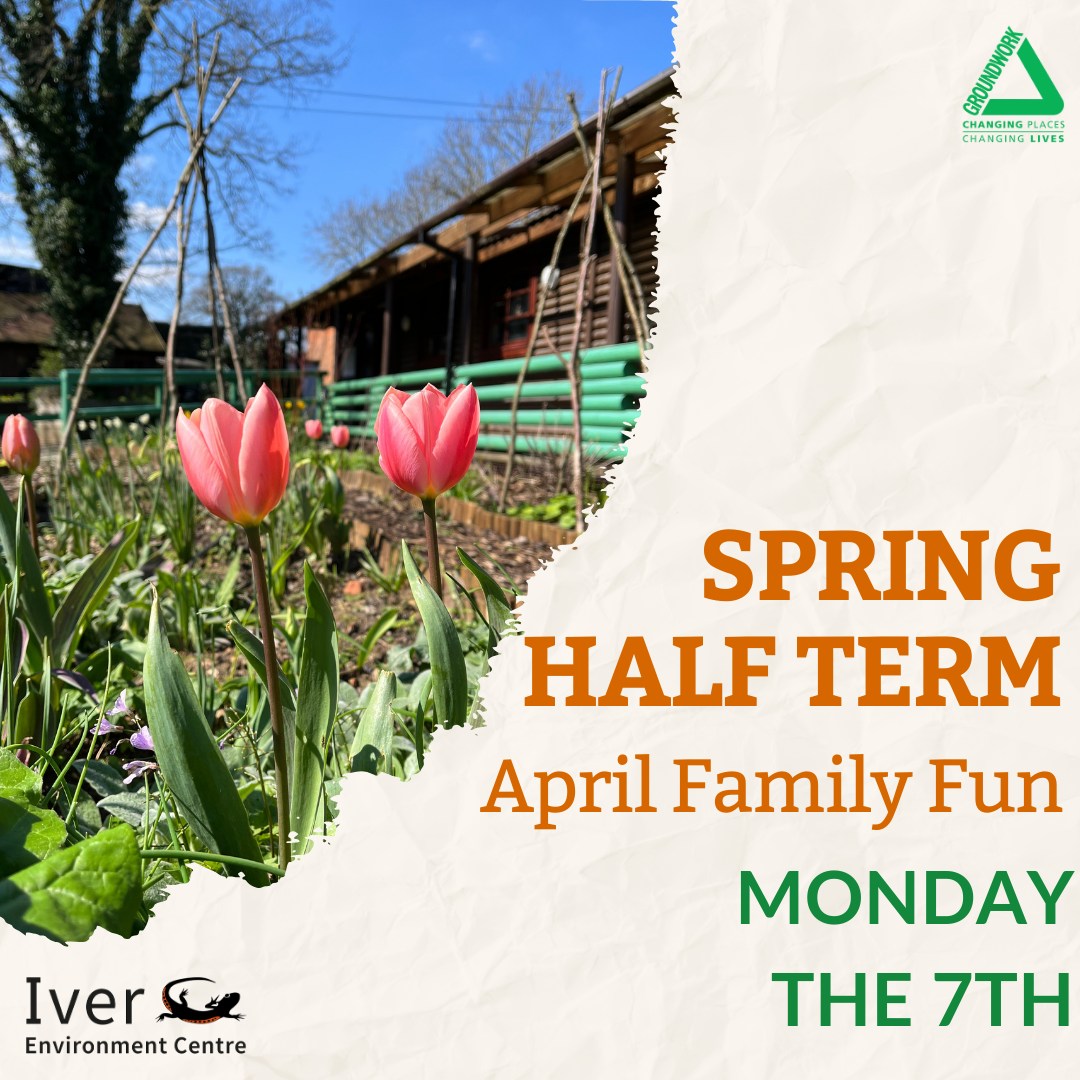 Easter Family Fun Day Iver Environment Centre