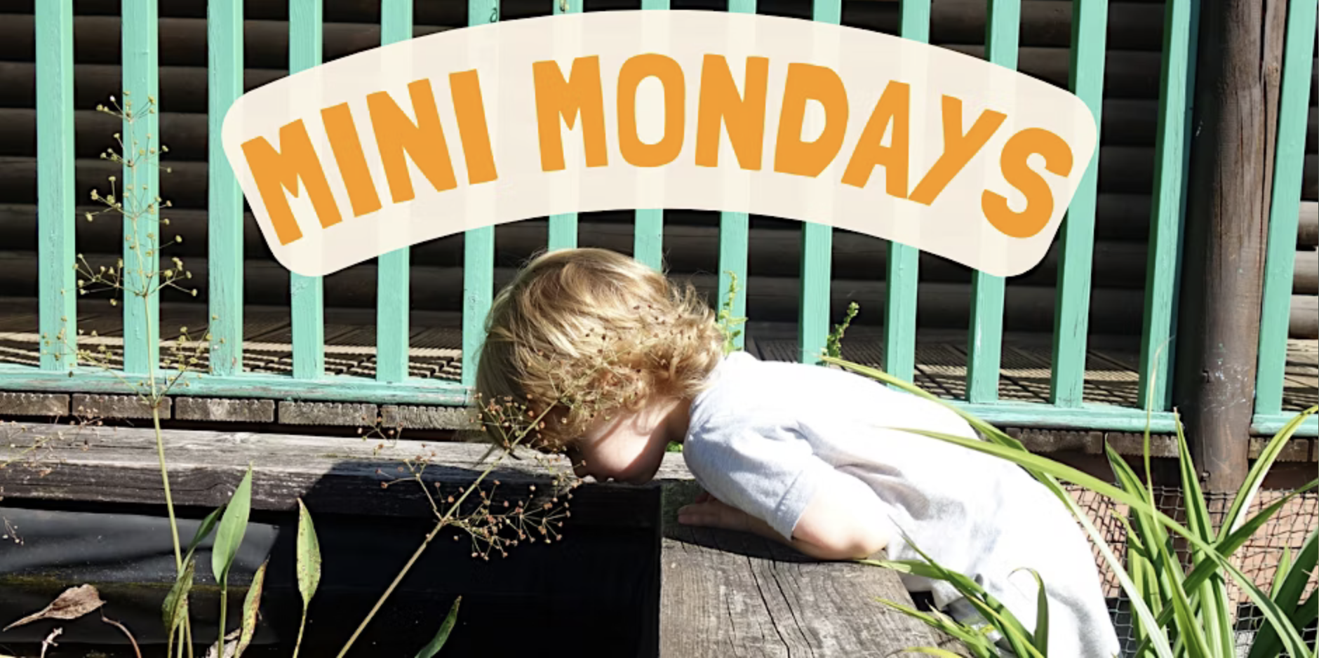 MINI MONDAYS at Iver Environment Centre
