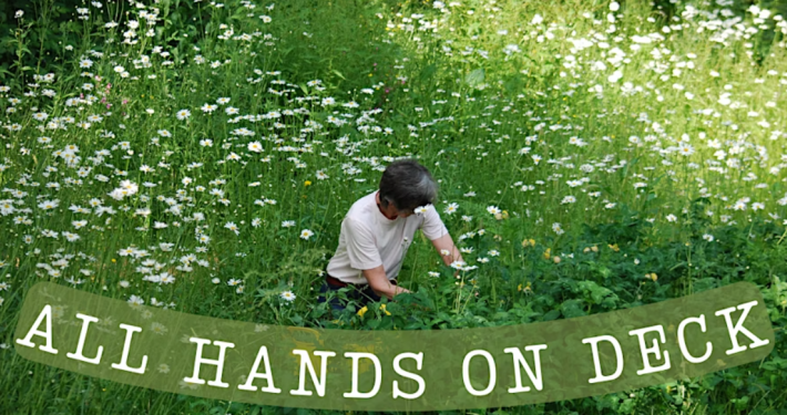 All Hands On Deck at Iver Environment Centre