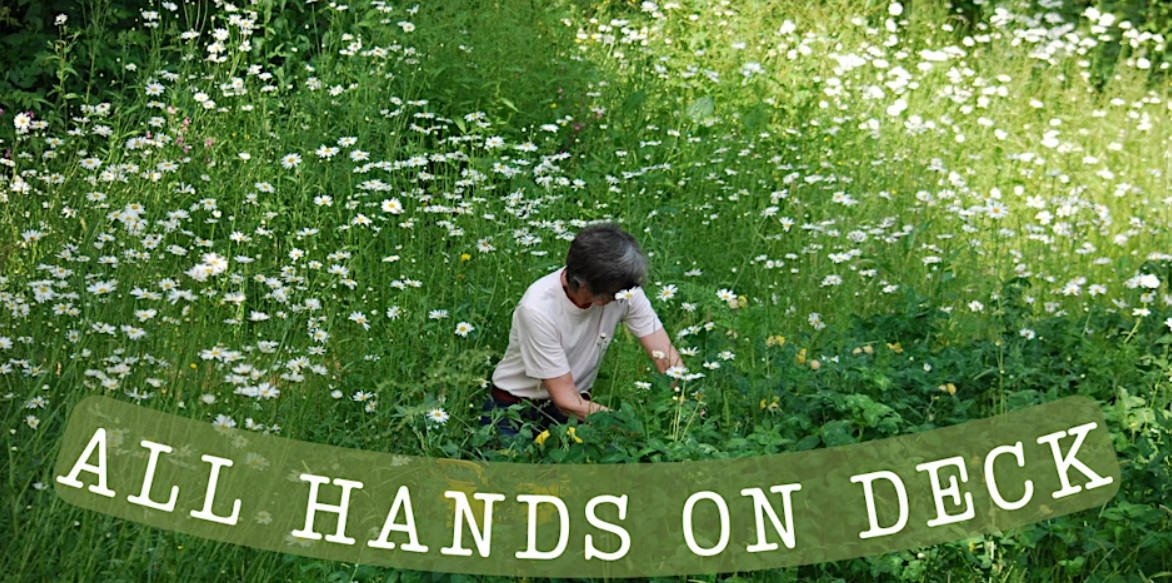 All Hands On Deck at Iver Environment Centre