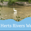 River Wildlife Walk with Herts & Middx Wildlife Trust