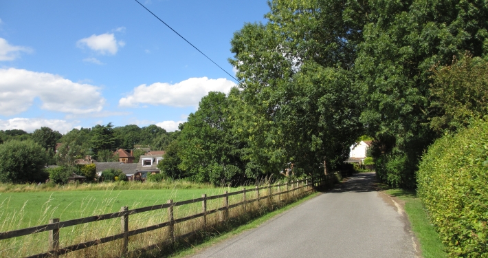 Guided Walk – Denham Woodlands