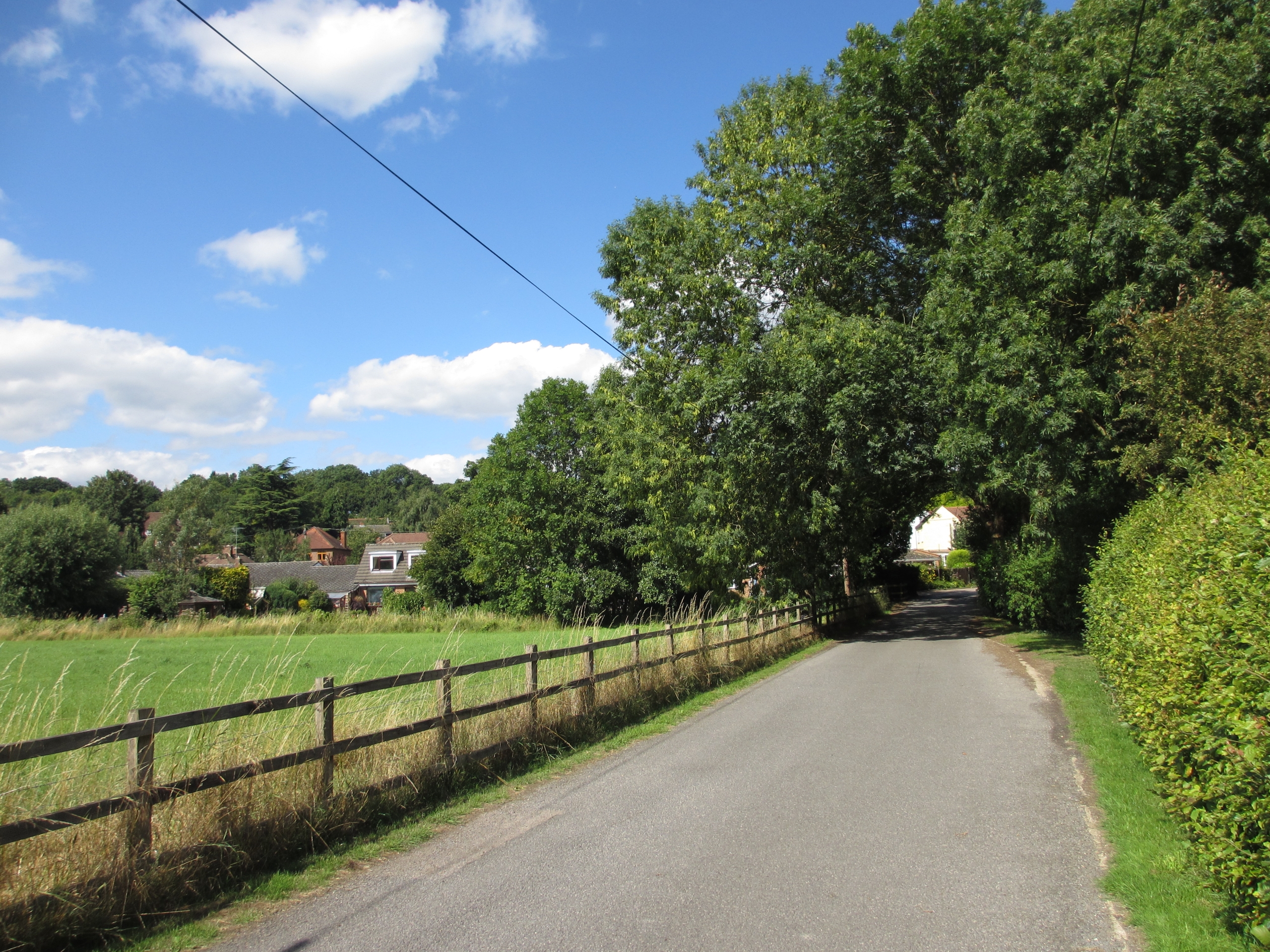 Guided Walk – Denham Woodlands