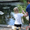 Family Fun Evening - Pond Dipping and Pita Pizzas
