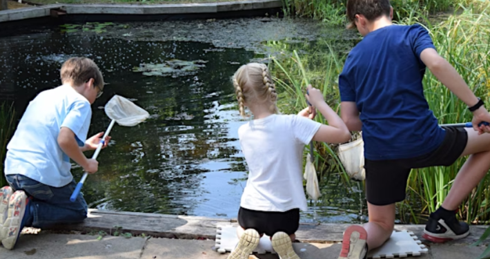 Family Fun Evening - Pond Dipping and Pita Pizzas