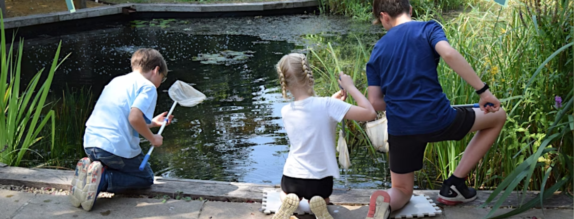 Family Fun Evening - Pond Dipping and Pita Pizzas