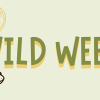 Wild Week at Iver Environment Centre