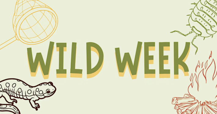 Wild Week at Iver Environment Centre