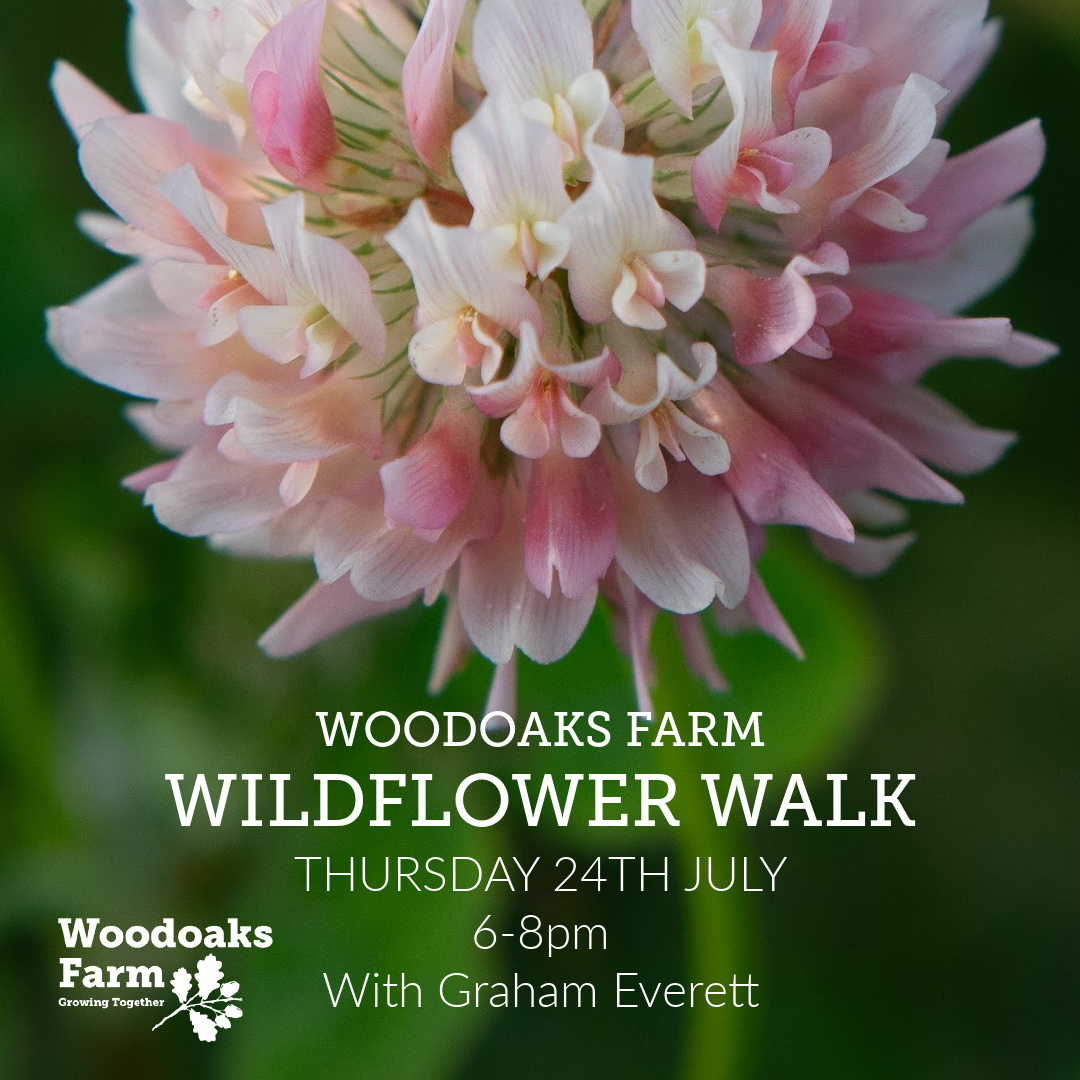 Woodoaks Farm Wildflower Walk