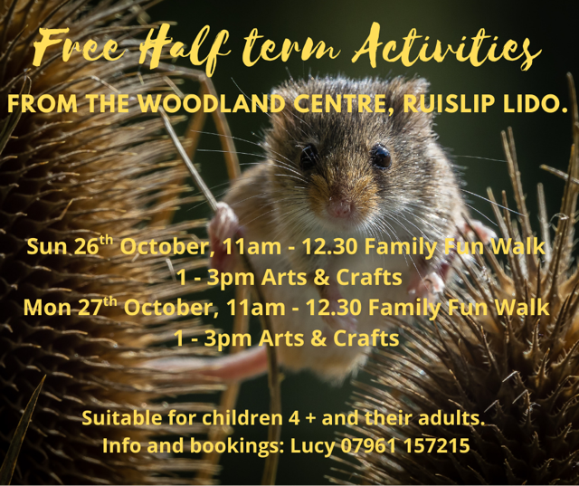 Free Half Term Fun Activities at the Woodland Centre Ruislip Lido