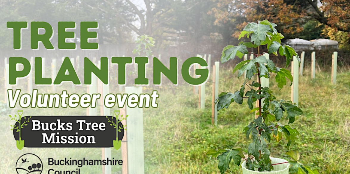 Iver Tree Planting Volunteer Event