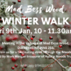 Winter Walk in Mad Bess Woods Ruislip
