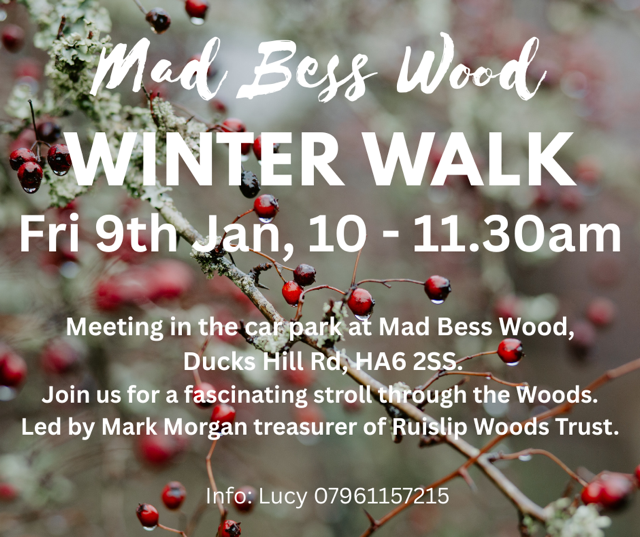 *** Cancelled*** Winter Walk in Mad Bess Woods Ruislip