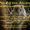 Free family activities in the Woodland Centre at Ruislip Lido