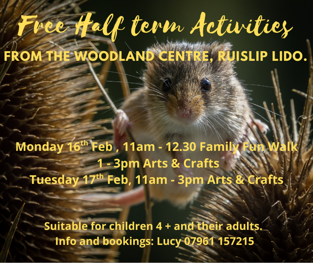 Free family activities in the Woodland Centre at Ruislip Lido