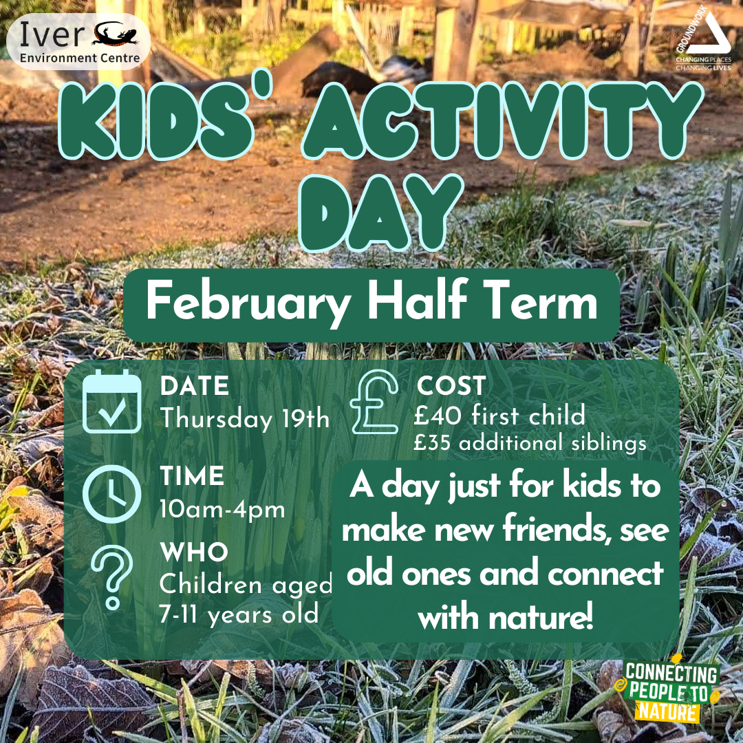 Kids Activity Day at Iver Environment Centre
