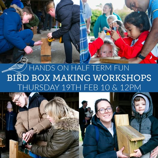 Build your own birdbox workshops at Woodoaks Farm