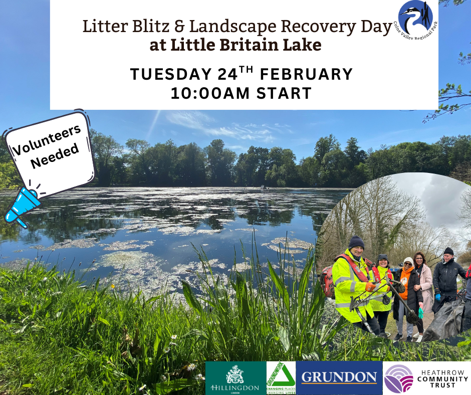 Litter Blitz & Invasive Species Removal at Little Britain Lake