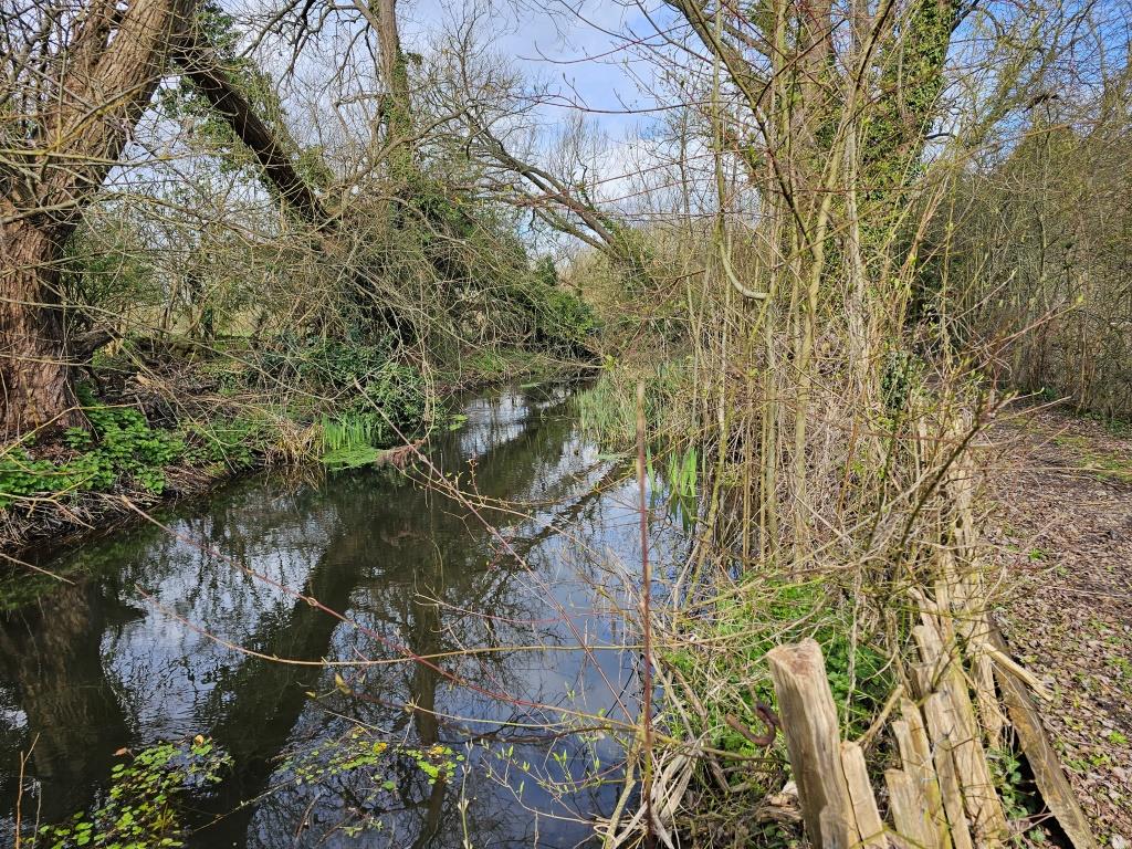 29 West Drayton, Rodney Meadow, Bigley Ditch 15 Mar 2022