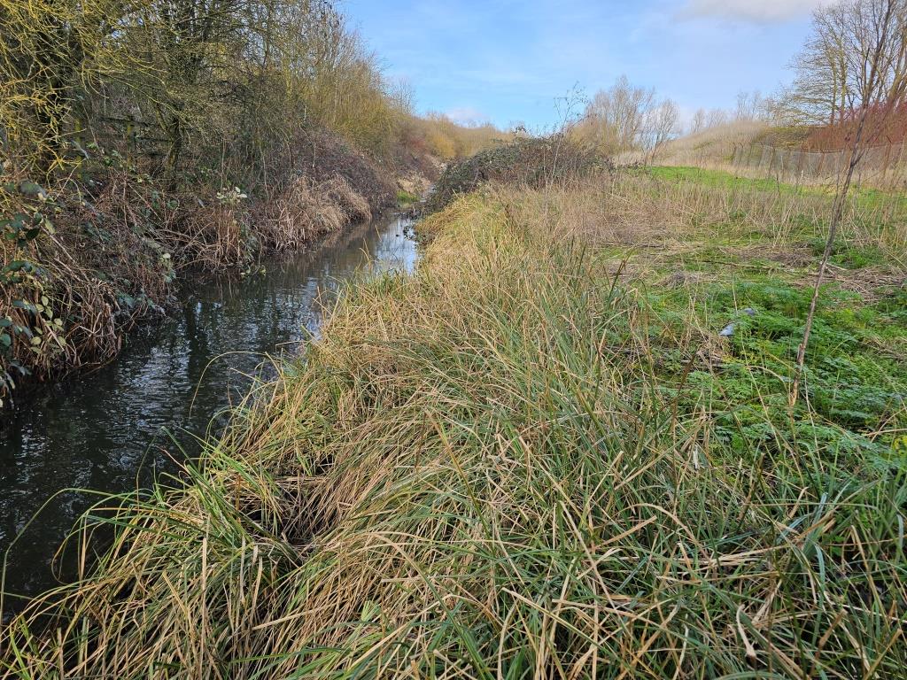 40 Harmondsworth Country Park 22 Feb 2026